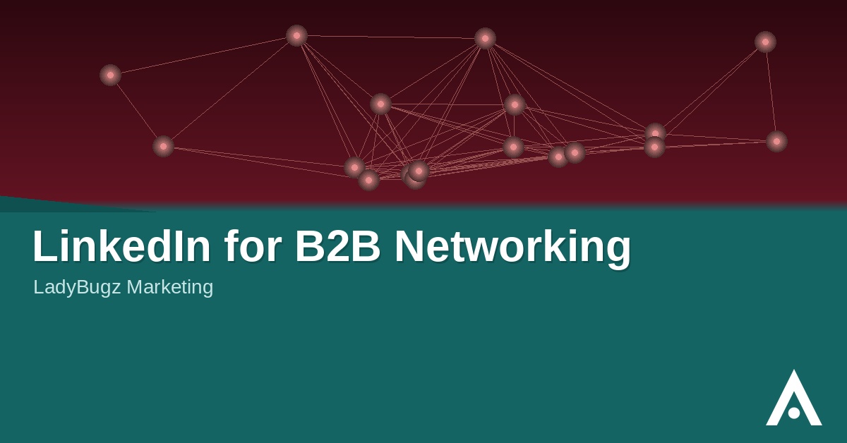 LinkedIn for B2B Networking