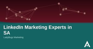 LinkedIn Marketing Experts in SA