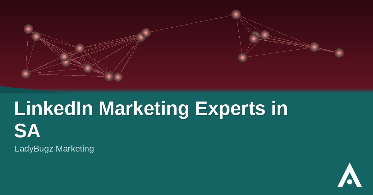 LinkedIn Marketing Experts in SA