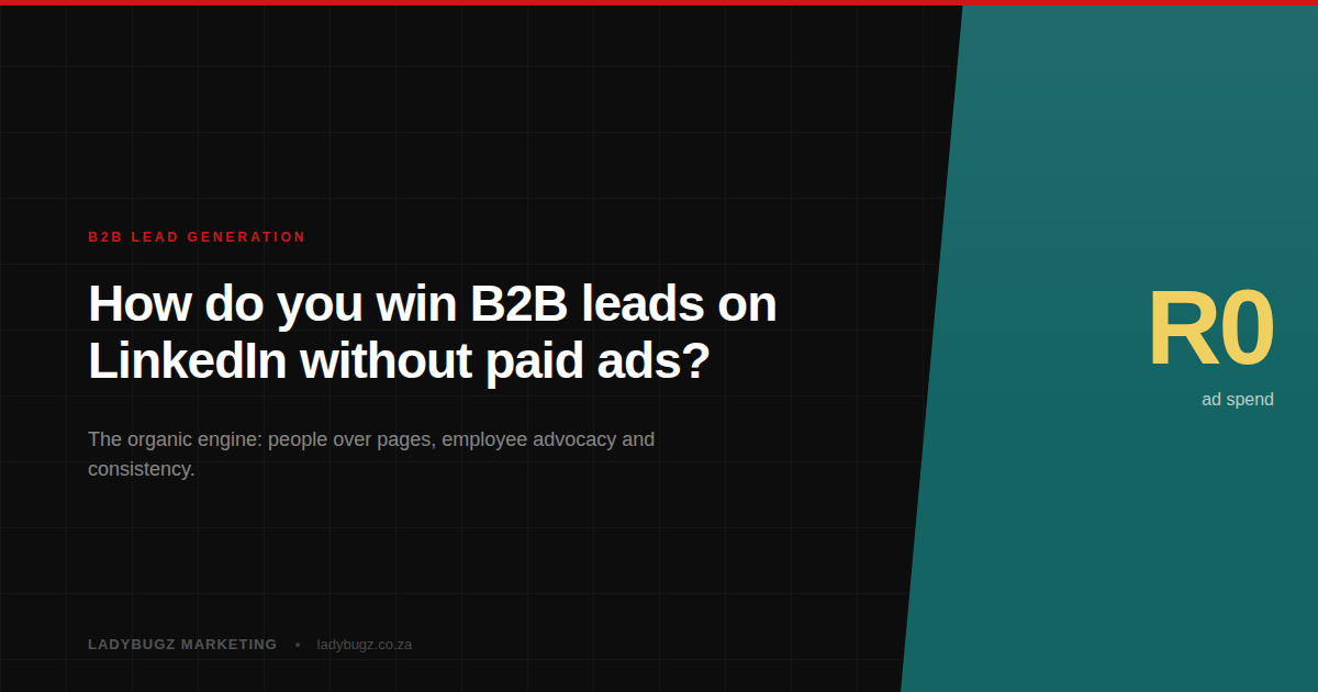 B2B lead generation on LinkedIn without paid ads, LadyBugz Marketing organic engine